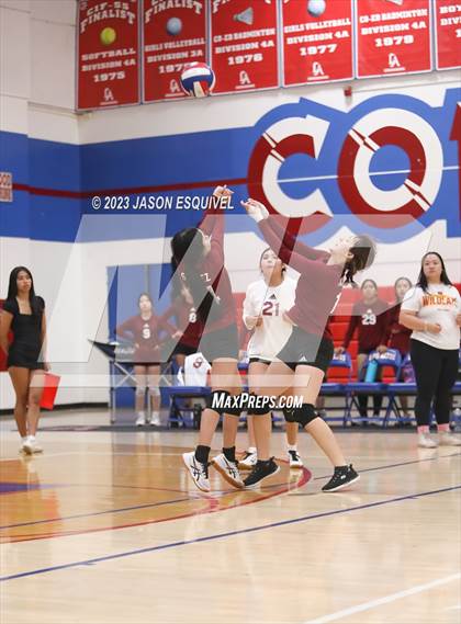 Thumbnail 1 in Wilson @ Los Altos photogallery.