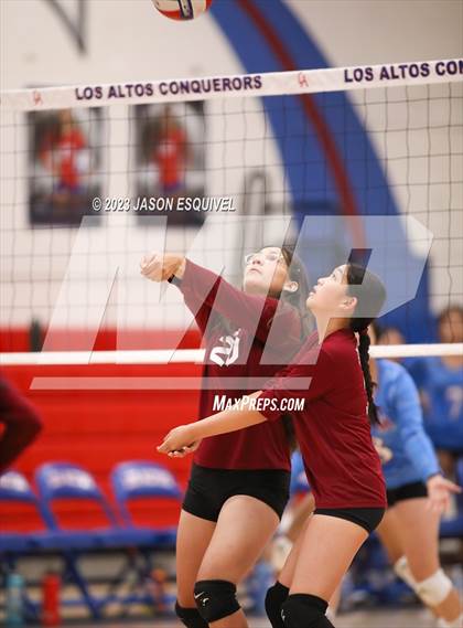 Thumbnail 1 in Wilson @ Los Altos photogallery.