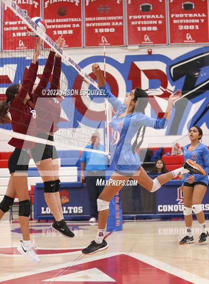 Thumbnail 1 in Wilson @ Los Altos photogallery.