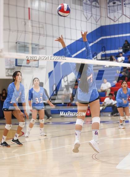 Thumbnail 2 in Wilson @ Los Altos photogallery.