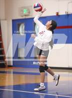 Photo from the gallery "Wilson @ Los Altos"