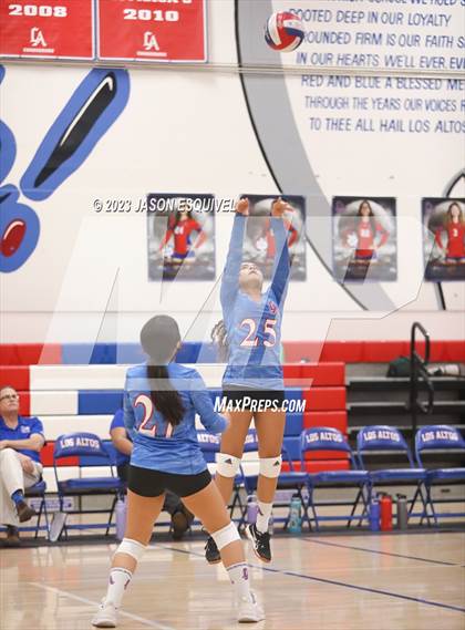 Thumbnail 2 in Wilson @ Los Altos photogallery.