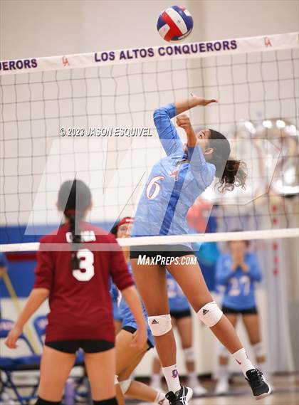 Thumbnail 2 in Wilson @ Los Altos photogallery.