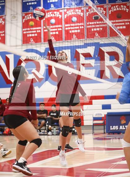 Thumbnail 2 in Wilson @ Los Altos photogallery.