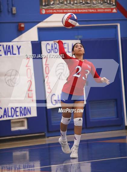 Thumbnail 3 in Wilson @ Los Altos photogallery.