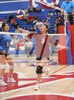 Photo from the gallery "Wilson @ Los Altos"