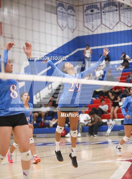 Thumbnail 3 in Wilson @ Los Altos photogallery.