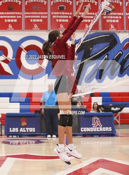Thumbnail 2 in Wilson @ Los Altos photogallery.