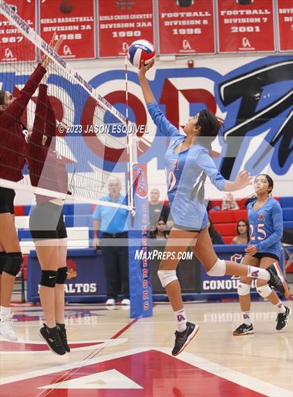 Thumbnail 3 in Wilson @ Los Altos photogallery.