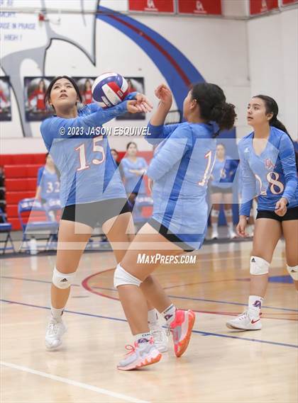 Thumbnail 3 in Wilson @ Los Altos photogallery.