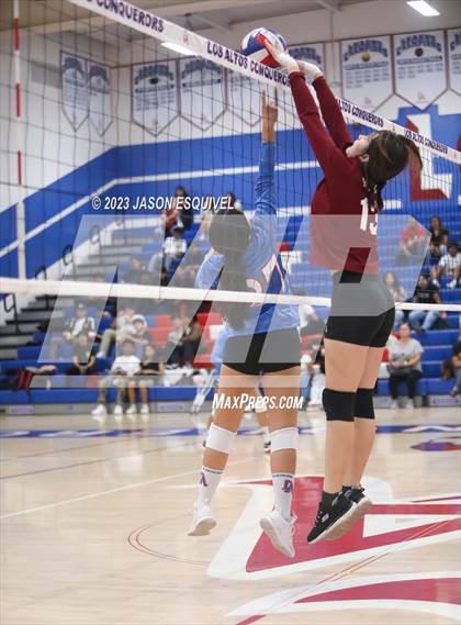 Thumbnail 1 in Wilson @ Los Altos photogallery.