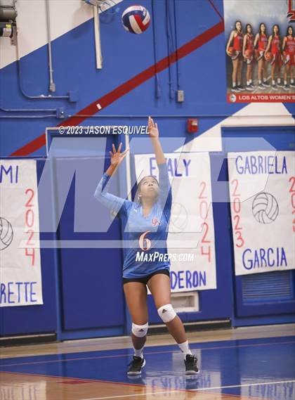 Thumbnail 2 in Wilson @ Los Altos photogallery.