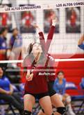 Photo from the gallery "Wilson @ Los Altos"