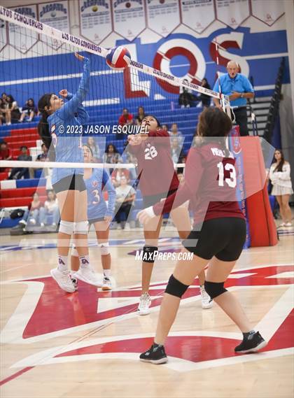 Thumbnail 2 in Wilson @ Los Altos photogallery.