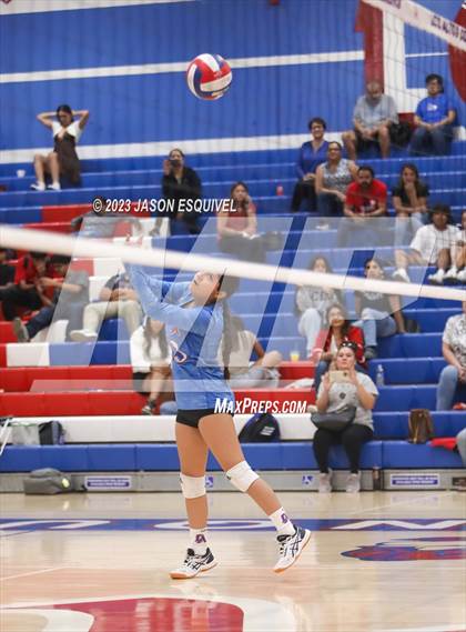 Thumbnail 3 in Wilson @ Los Altos photogallery.