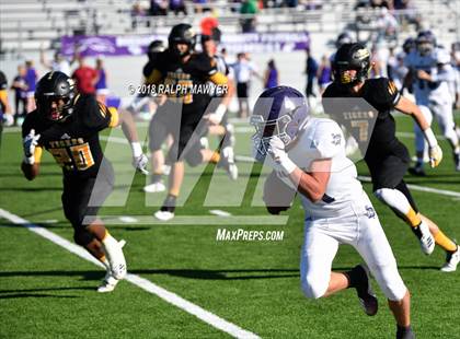 Thumbnail 1 in Sealy vs. Boerne (UIL 4A Area Playoff) photogallery.