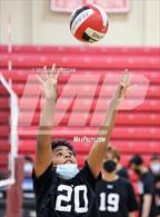 Photo from the gallery "Hillsdale @ Aragon"