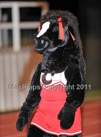 Thumbnail 2 in Frisco @ Creekview photogallery.
