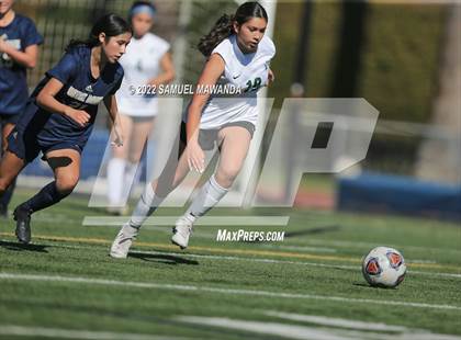 Thumbnail 1 in  Pacifica @ Notre Dame (SO) (CIF SS DIII First Round) photogallery.