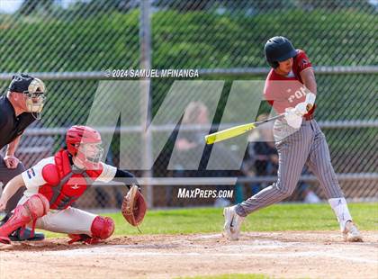 Thumbnail 2 in Ponderosa @ Regis Jesuit photogallery.