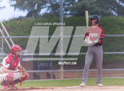 Thumbnail 2 in Ponderosa @ Regis Jesuit photogallery.