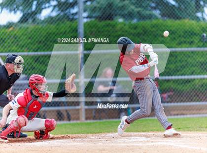 Thumbnail 2 in Ponderosa @ Regis Jesuit photogallery.