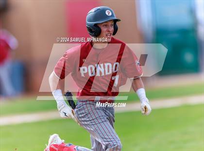 Thumbnail 1 in Ponderosa @ Regis Jesuit photogallery.