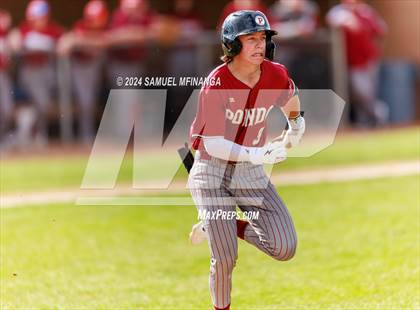 Thumbnail 1 in Ponderosa @ Regis Jesuit photogallery.