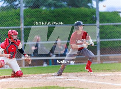 Thumbnail 1 in Ponderosa @ Regis Jesuit photogallery.