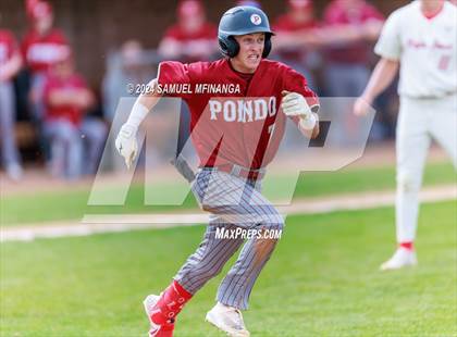Thumbnail 2 in Ponderosa @ Regis Jesuit photogallery.