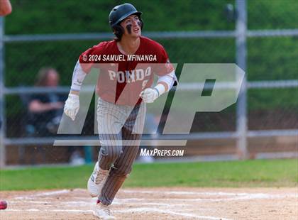 Thumbnail 1 in Ponderosa @ Regis Jesuit photogallery.