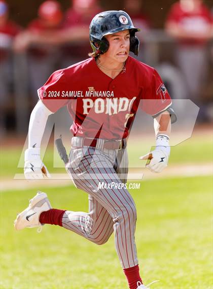 Thumbnail 3 in Ponderosa @ Regis Jesuit photogallery.