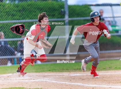 Thumbnail 2 in Ponderosa @ Regis Jesuit photogallery.