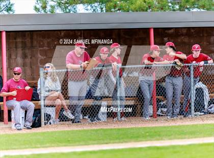 Thumbnail 3 in Ponderosa @ Regis Jesuit photogallery.