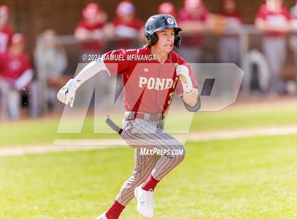 Thumbnail 2 in Ponderosa @ Regis Jesuit photogallery.