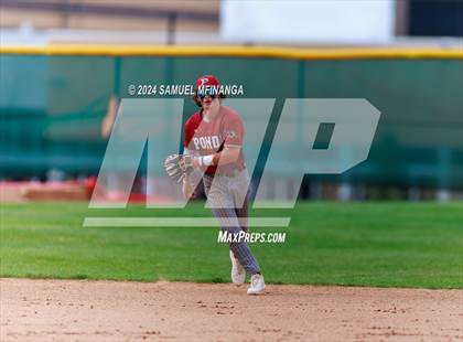 Thumbnail 3 in Ponderosa @ Regis Jesuit photogallery.