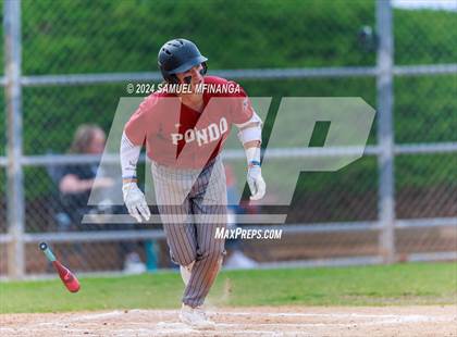 Thumbnail 3 in Ponderosa @ Regis Jesuit photogallery.