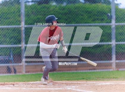 Thumbnail 2 in Ponderosa @ Regis Jesuit photogallery.