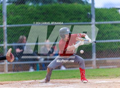 Thumbnail 3 in Ponderosa @ Regis Jesuit photogallery.