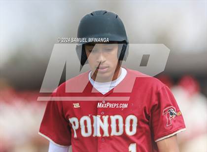 Thumbnail 1 in Ponderosa @ Regis Jesuit photogallery.