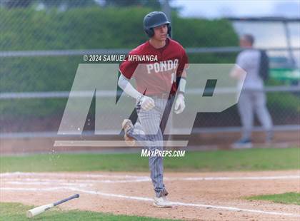 Thumbnail 2 in Ponderosa @ Regis Jesuit photogallery.