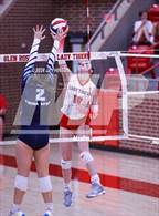 Photo from the gallery "China Spring @ Glen Rose"