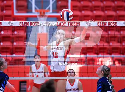 Thumbnail 1 in China Spring @ Glen Rose photogallery.