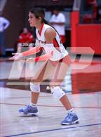 Photo from the gallery "China Spring @ Glen Rose"