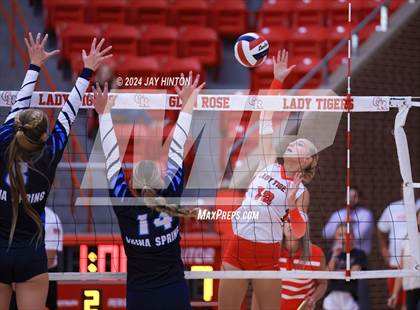 Thumbnail 2 in China Spring @ Glen Rose photogallery.