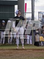 Photo from the gallery "Charles J. Colgan @ Woodbridge"