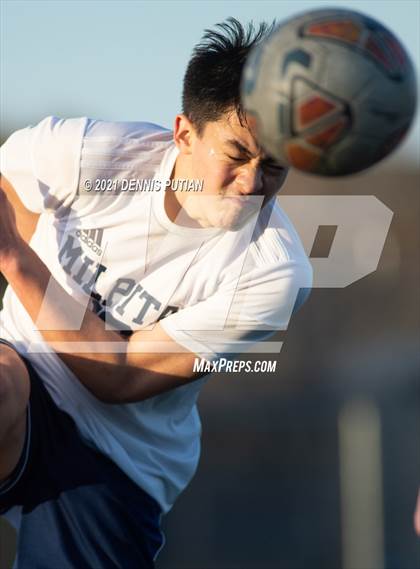 Thumbnail 3 in Milpitas @ Lynbrook photogallery.