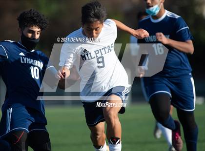 Thumbnail 3 in Milpitas @ Lynbrook photogallery.