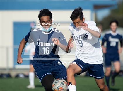 Thumbnail 1 in Milpitas @ Lynbrook photogallery.