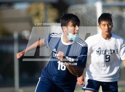 Thumbnail 3 in Milpitas @ Lynbrook photogallery.